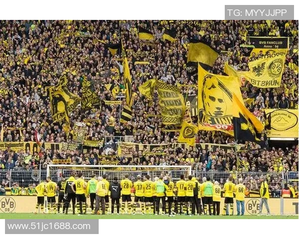 2014年多特蒙德与纽伦堡精彩对决全场录像回放分析 2014年多特蒙德与纽伦堡精彩对决全场录像回放分析