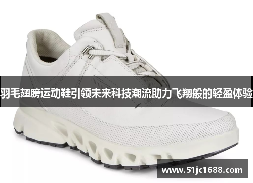 羽毛翅膀运动鞋引领未来科技潮流助力飞翔般的轻盈体验