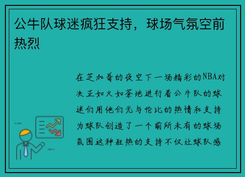 公牛队球迷疯狂支持，球场气氛空前热烈