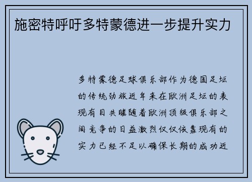 施密特呼吁多特蒙德进一步提升实力
