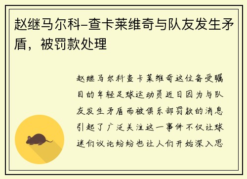 赵继马尔科-查卡莱维奇与队友发生矛盾，被罚款处理