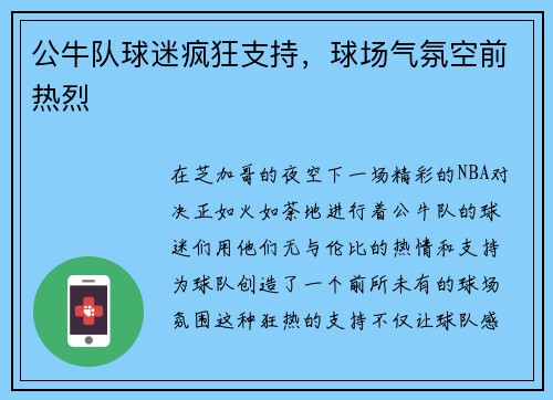公牛队球迷疯狂支持，球场气氛空前热烈